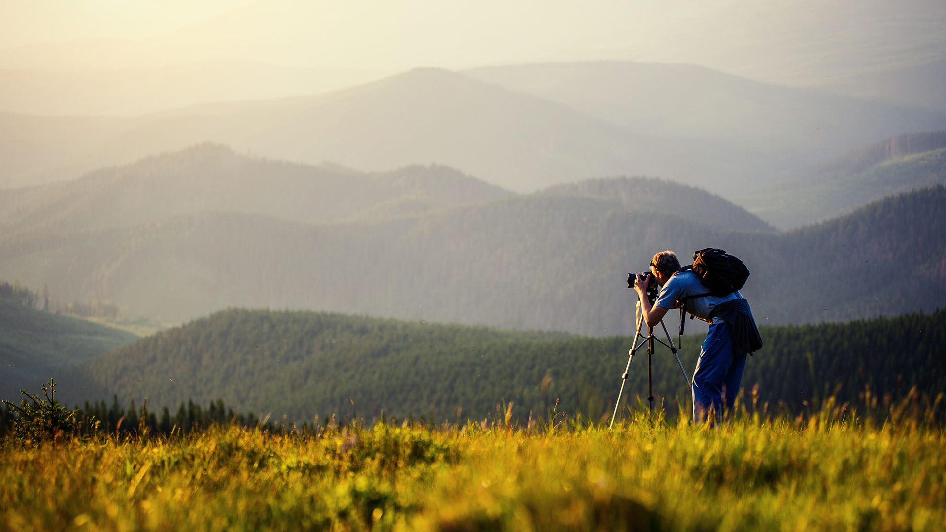 What Is Macro Photography? Definition Tutorials What Is Macro Photography? Definition Tutorials