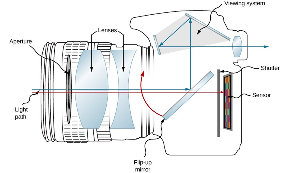 How A DSLR Camera Works