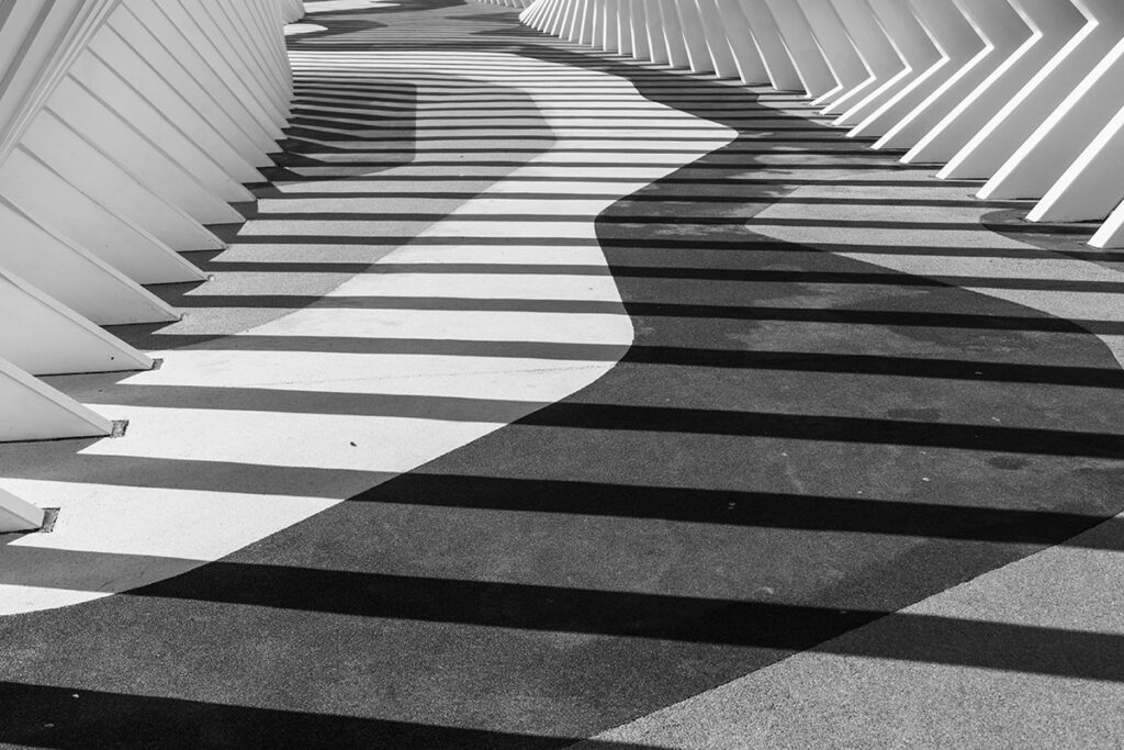 lines In Photography
