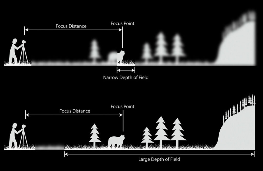 Depth Of Field