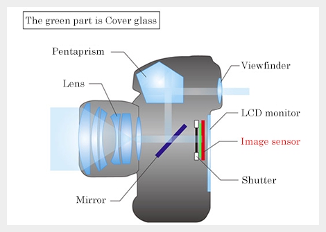 Sensor