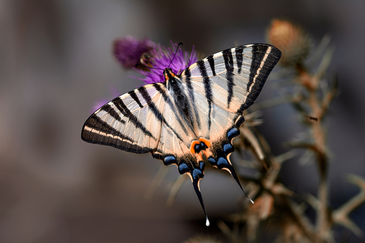 300 unique photography name ideas for your business