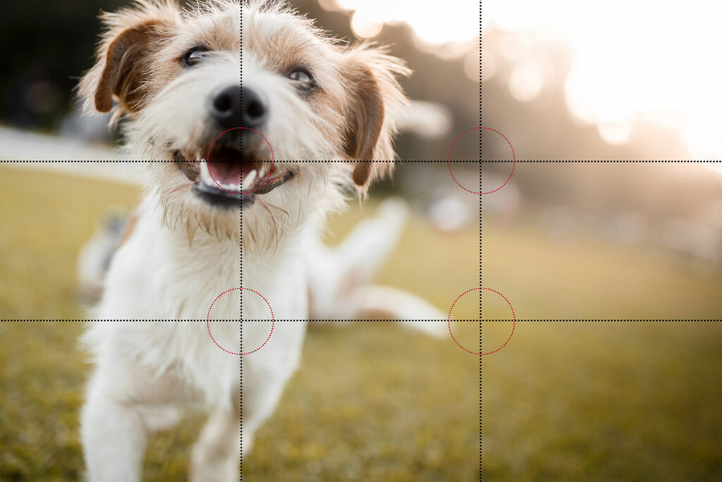 rule of thirds