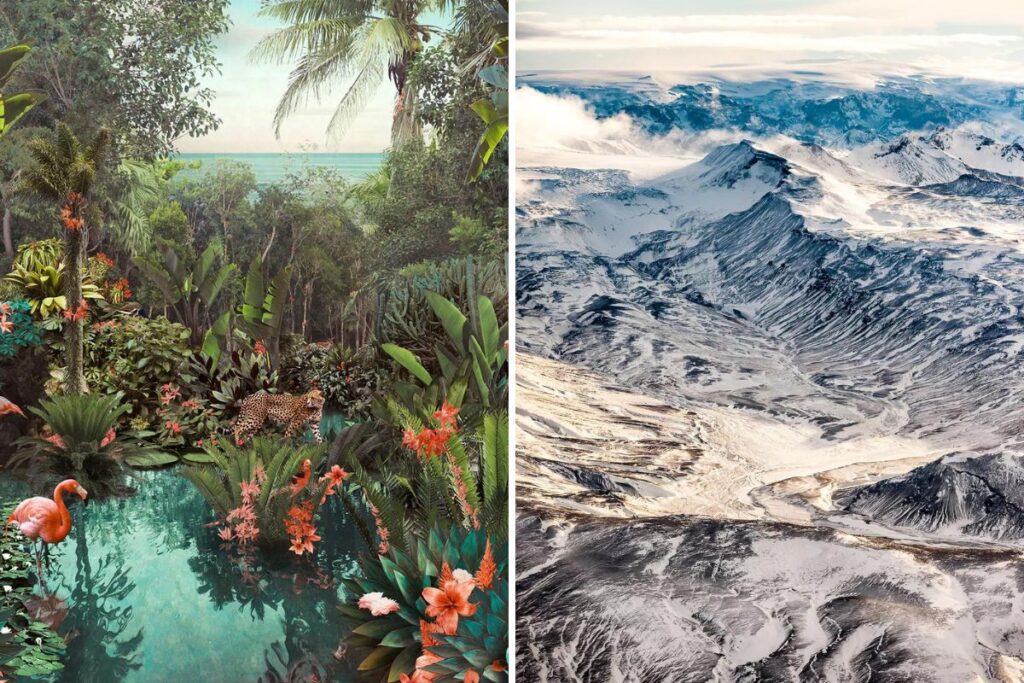side by side image
