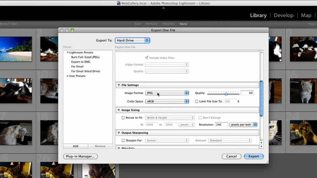 Convert RAW Files on photoshop