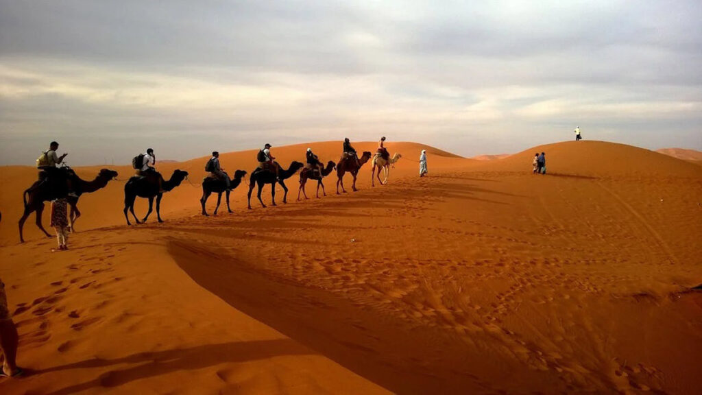 desert photography 1