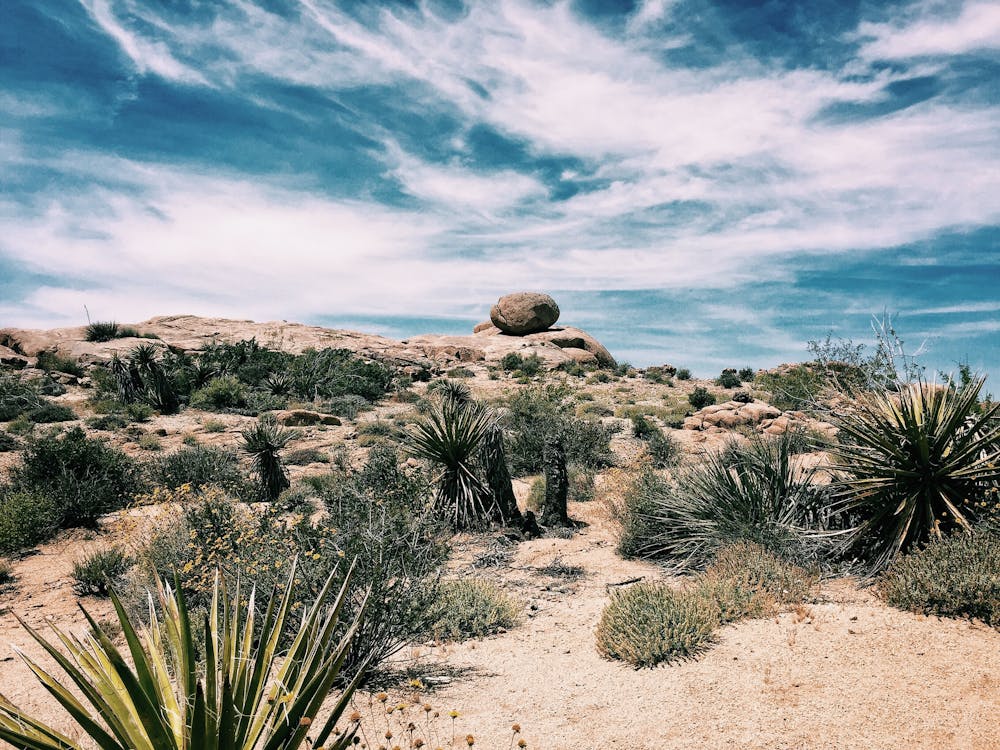 desert photography 4