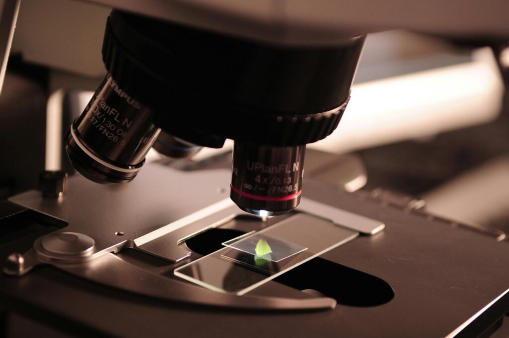 Photography in Scientific